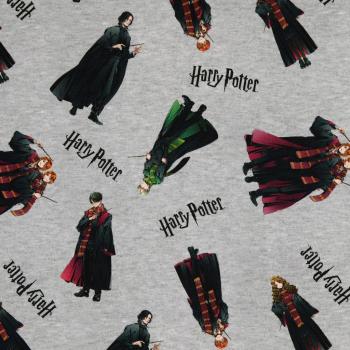 1,4 m Reststück Jersey bedruckt - Harry Potter alle Figuren auf Hellrau-melliert